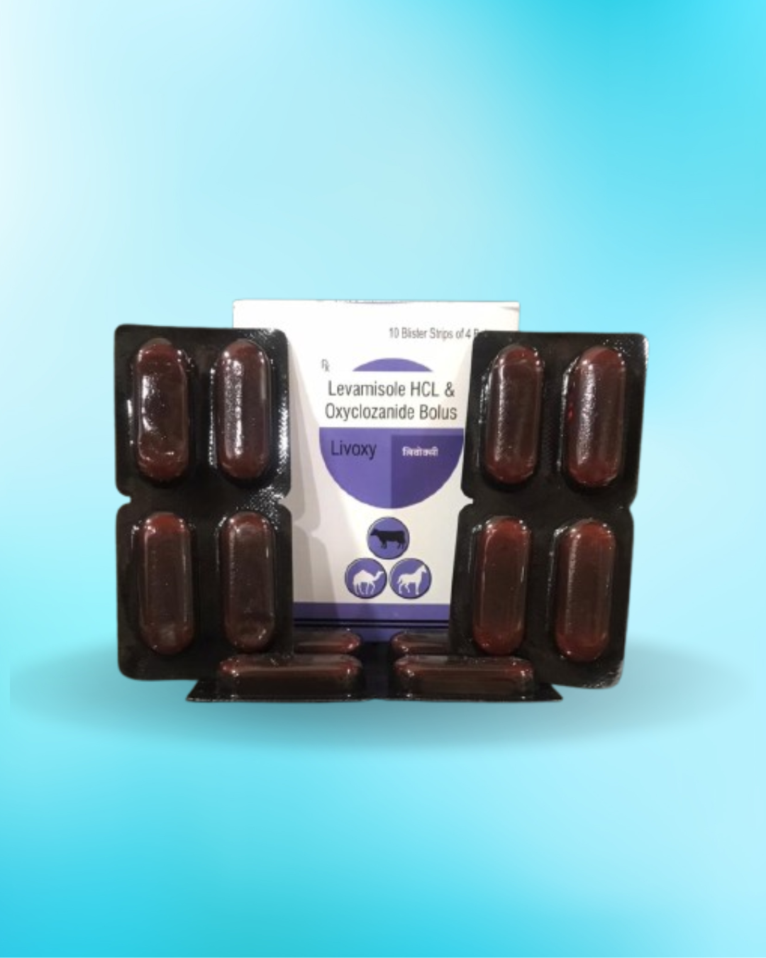 LIVOXY BOLUS 